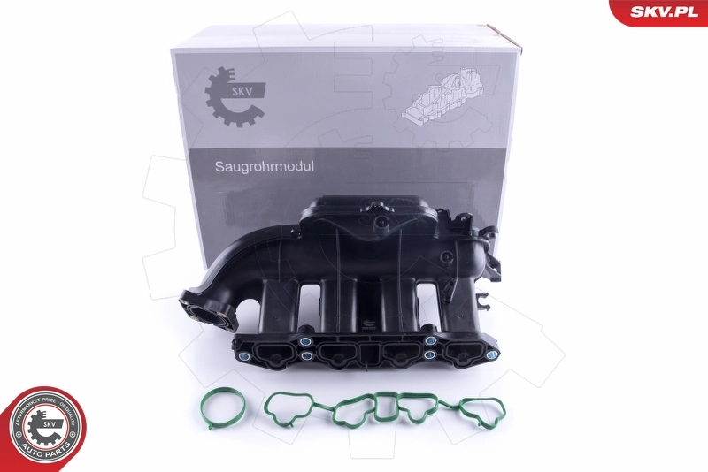 Intake Manifold Module